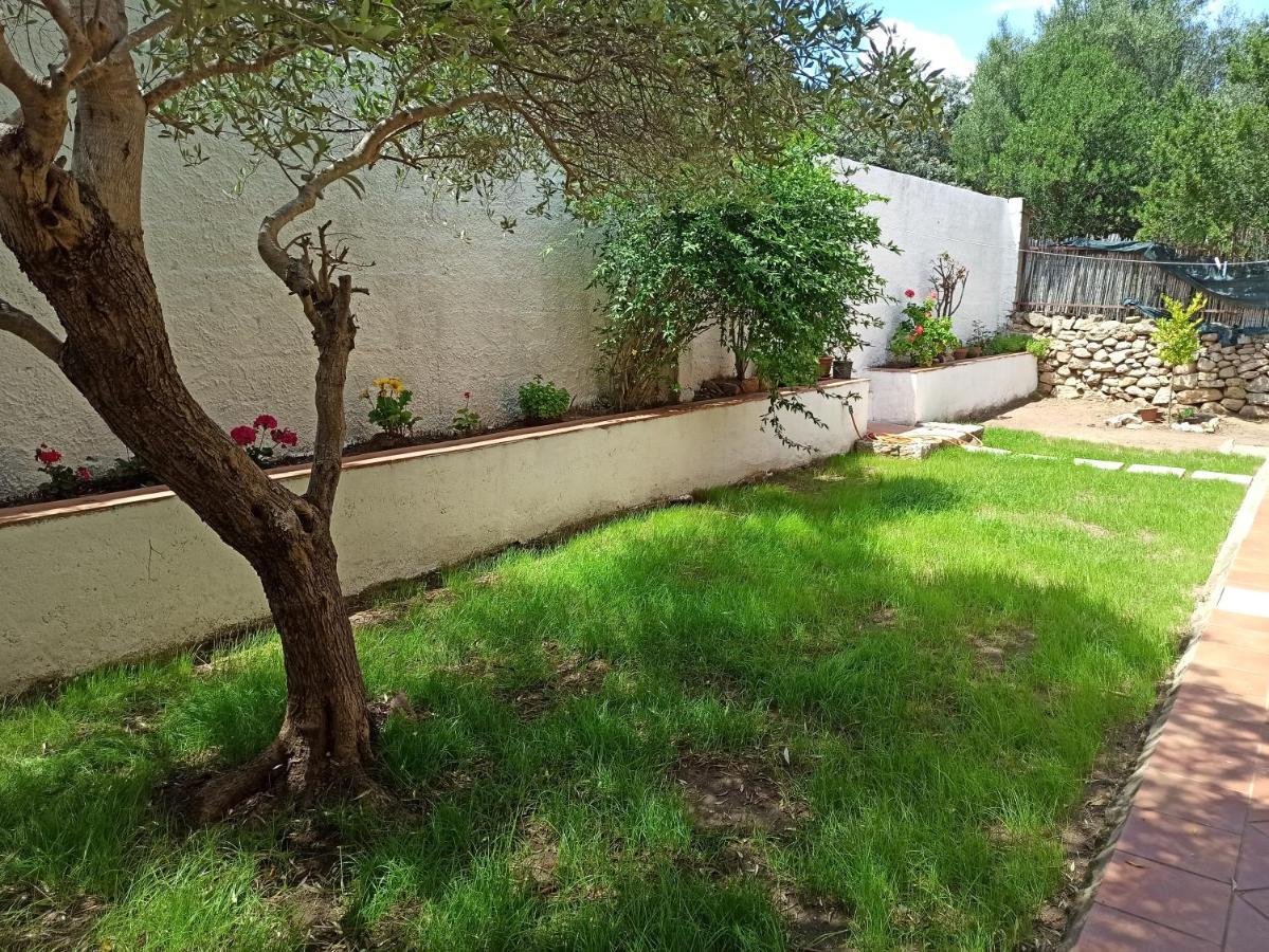 Casa Vacanze Due Passi Holiday home Olbia